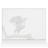 Vol d'aigle à tête blanche (Intérieur Horizontal (Haut))