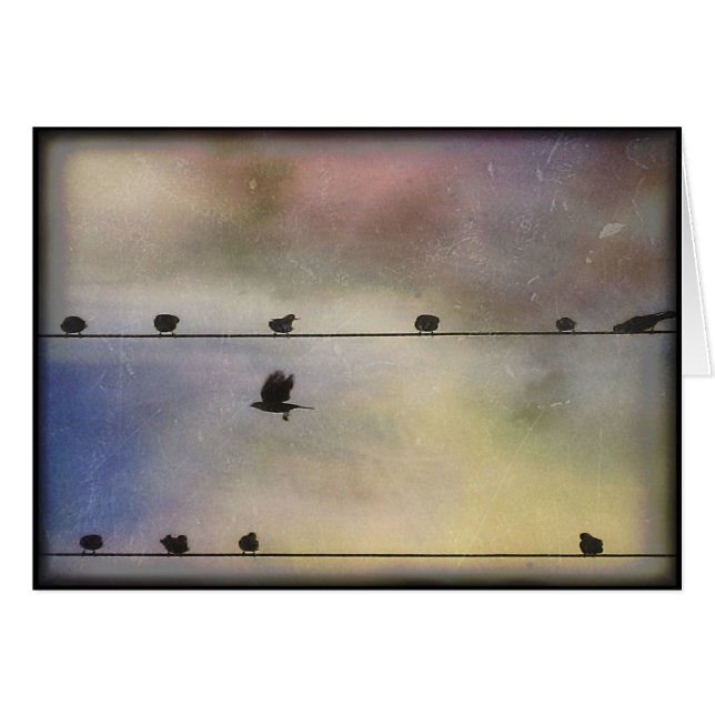 Vol d'automne - blanc (Devant horizontal)