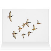 Vol de Mallards (Intérieur Horizontal (Haut))