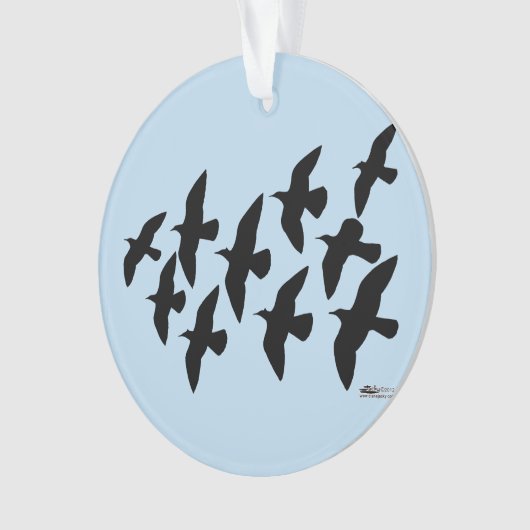 Vol de pigeons (devant)