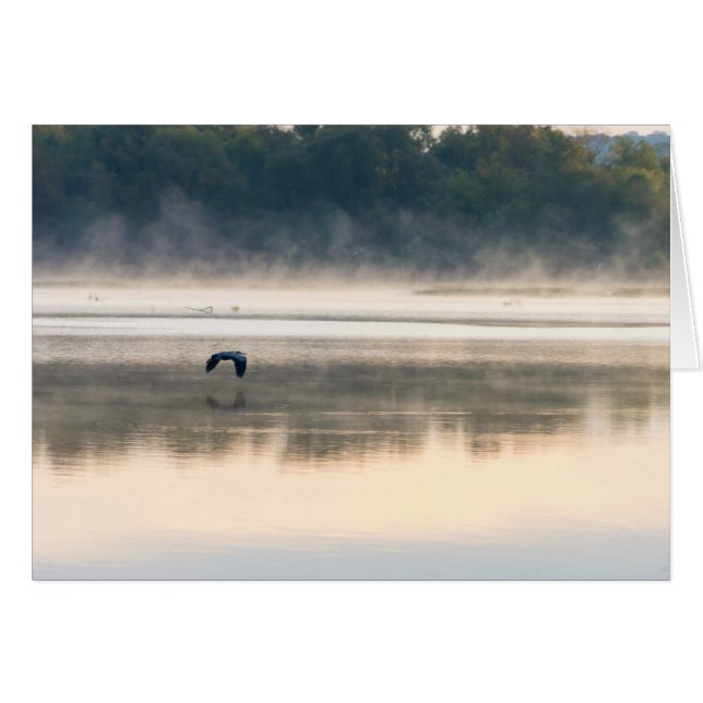 Vol du matin de Foggy (Devant Horizontal)