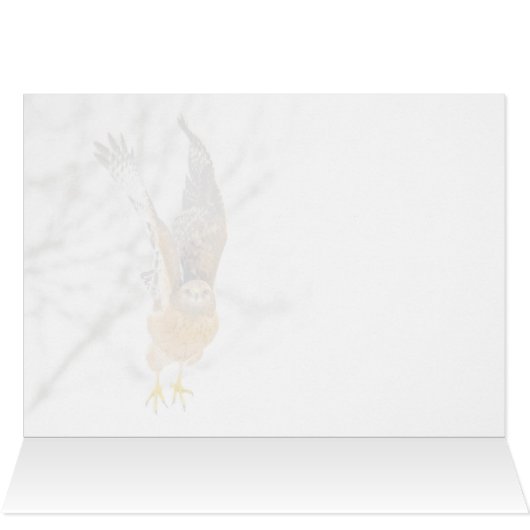 Vol Hawk (Intérieur Horizontal (Haut))