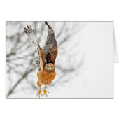 Vol Hawk (Devant horizontal)