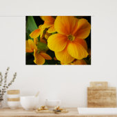 vol met zonneschijn poster (Keuken)