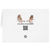 Vol Moose Aviation de Havilland DH3-C Otter (Dos Horizontal)