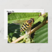 Vol stationnaire ~ carte postale (Devant / Derrière)