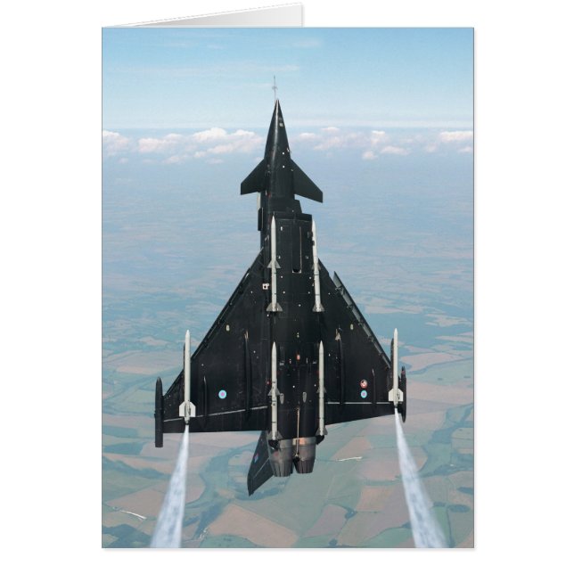 VOL VERTICAL (Devant)