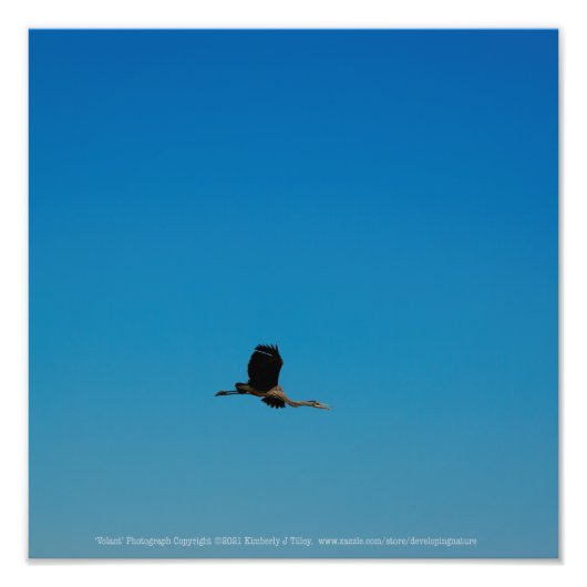 Volant Foto Afdruk (Voorkant)