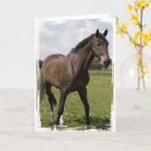 volbloed Kaart (Gele Bloem)