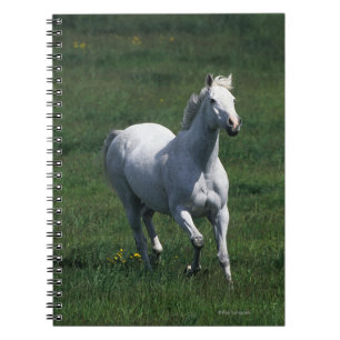Volbloed Merrie Notitieboek