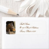 Volbloedpaard retour adres label (Insitu)