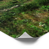 Volcan Concepcion Poster (Hoek)