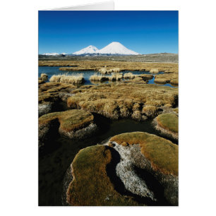 Volcan de Payachalas