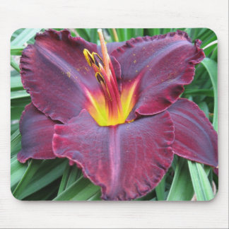 Volcanic Daylily Mousepad Muismat