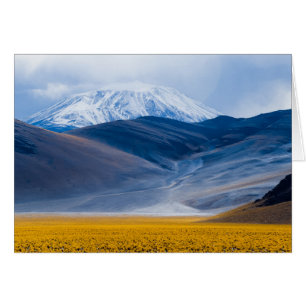 Volcano Incahuasi, Argentinië