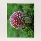 Voler Agaric Champignons Puzzle (Vertical)