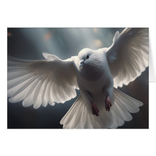 Voler la colombe blanche