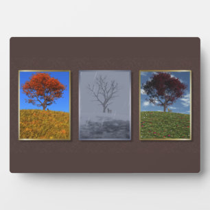 Voler rapidement les années Triptych Photo Plaque