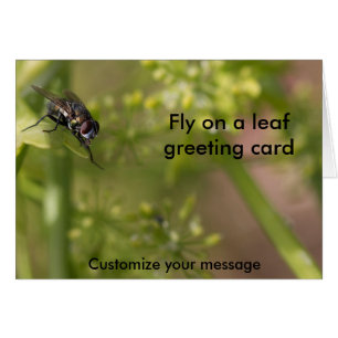 Voler sur la carte photo murale vide