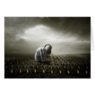 Voleur 2013 de tulipe