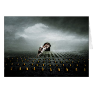 voleur de tulipe 2 2013