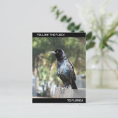 Volg de kudde naar Florida Briefkaart (Staand voorkant)