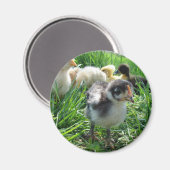 Volg de leider magneet (Voorkant / Achterkant)