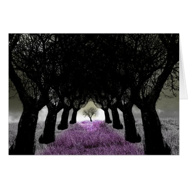 Volg de Paarse koers (Voorkant Horizontaal)