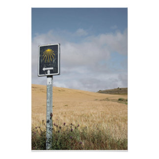 Volg de pijl Poster Perfect Poster
