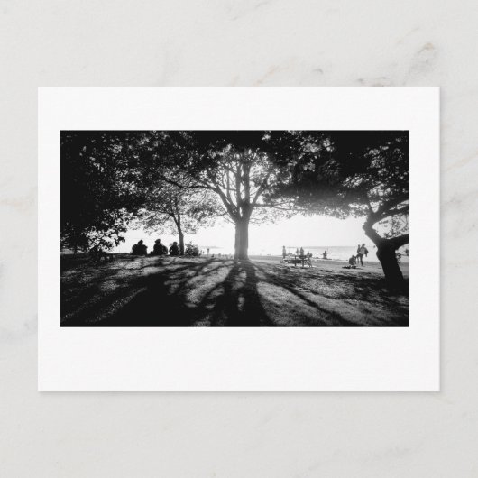 Volg het licht 1 briefkaart (Voorkant)