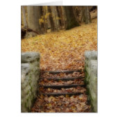 Volg het pad (Voorkant)