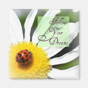 Volg je dromen Ladybug Magnet Magneet