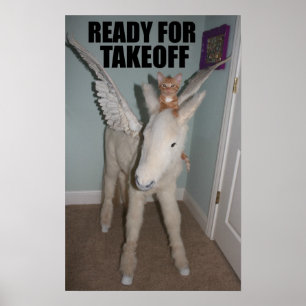 Volg je dromen. Zelfs als je een kat bent. Poster