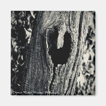 "Volg je hart" magneet