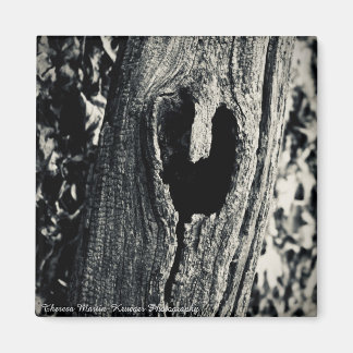 "Volg je hart" magneet