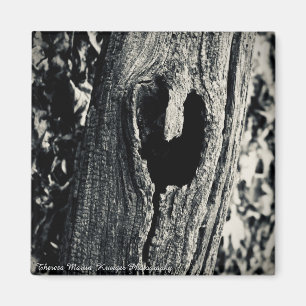 "Volg je hart" Magnet Magneet