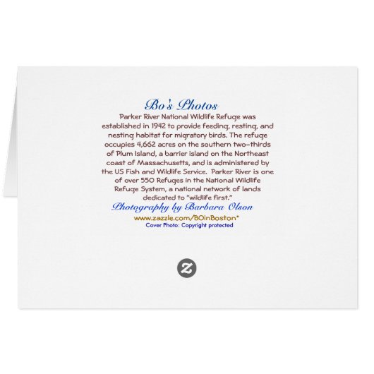 Volg je pad: Plum Island, MA (Achterkant Horizontaal)