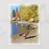 Volg me briefkaart (Voorkant)