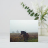 Volg me Briefkaart (Staand voorkant)