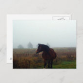 Volg me Briefkaart (Voorkant / Achterkant)