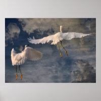 Volg me Poster