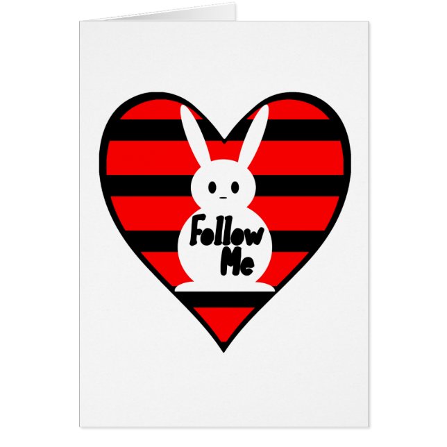 Volg me White Rabbit (Voorkant)