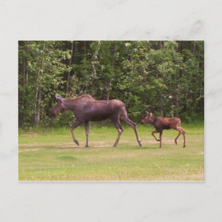 Volgend in Moms Footprint Briefkaart