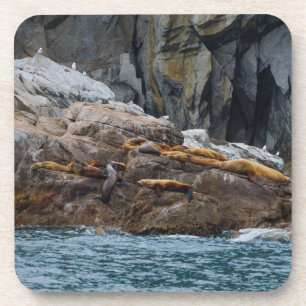 Volgende in lijn drankjes onderzetter