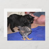 Volgers Briefkaart (Voorkant / Achterkant)