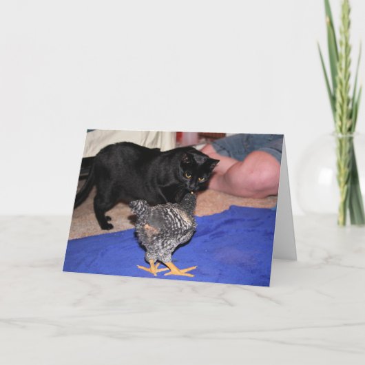 Volgers Kaart (Voorkant)