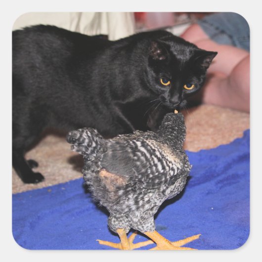 Volgers Vierkante Sticker (Voorkant)