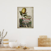 Volkamer Citrus Lemon affiche paysagère italienne (Cuisine)