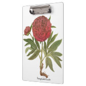 volken, volkbloemen van Basilius Besler Klembord (Links)