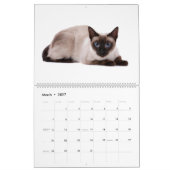 Volkomen speels: Siamese katten Kalender (Mar 2027)
